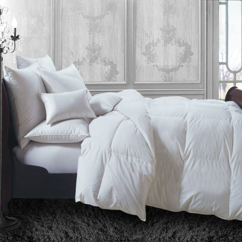 Ebern Designs Raymond Single Comforter & Reviews Wayfair.ca